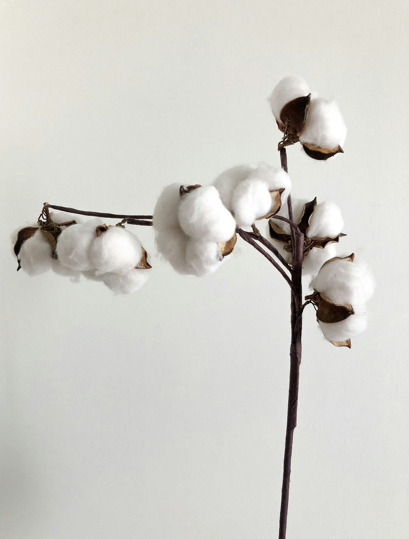 <span>Sustainability in Luxury</span> Commitment to Ethical Craftsmanship